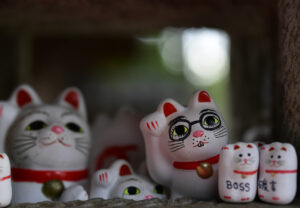 フォトブックを作ってみた！！ -1st フォトブック-