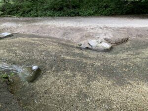 渓流で写真を撮ってみたい!