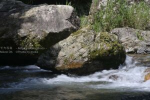 渓流で写真を撮ろう
