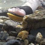 【スナップ撮影】川の中から、カッパ目線で写真を撮ってみた！