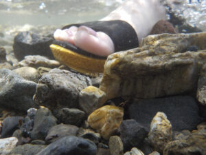 【スナップ撮影】川の中から、カッパ目線で写真を撮ってみた！