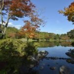【スナップ撮影】気が早いけど紅葉も楽しみ