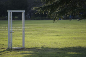 【スナップ撮影】秋の昭和記念公園を満喫しよう！！
