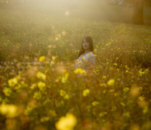 【ポートレート撮影】終わりかけのコスモス畑で寂しさと一緒に・・