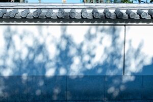 【ロケハン】撮影直前のロケハンで、光と混雑状況を確認