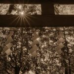 【ニコンカレッジ】実習課題は「１枚に魂を込めて！」