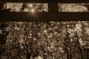 【ニコンカレッジ】実習課題は「１枚に魂を込めて！」