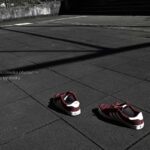 【スナップ撮影】透明人間の靴を発見!?
