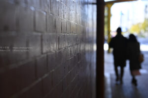 【ロケハン】ポートレート撮影に、神田のガード下はいかが！？