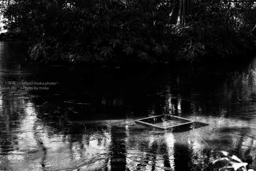 【スナップ撮影】街中のお散歩スナップをモノクロで撮ってみた！