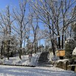 【iPhone写真】雪が降った後は、写真が撮りたくなる!?