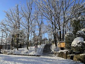 【iPhone写真】雪が降った後は、写真が撮りたくなる!?