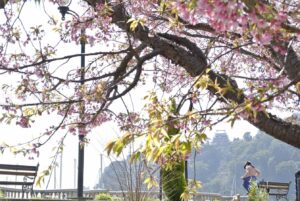 【スナップ撮影】春を先撮り！？