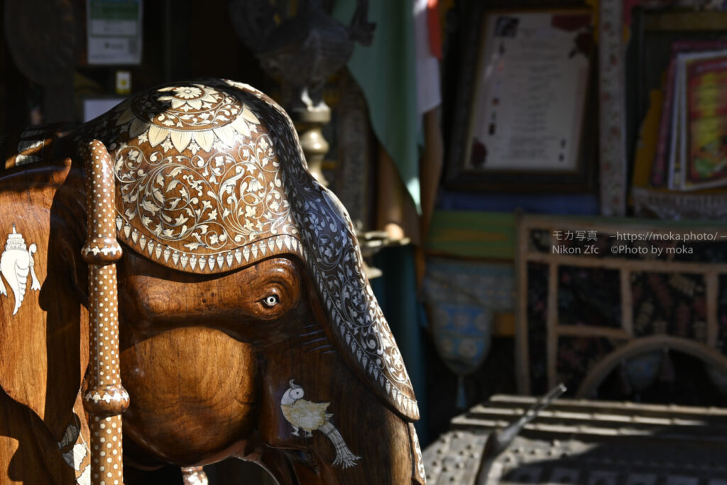 【スナップ撮影】谷中の街中で出会った動物たち
