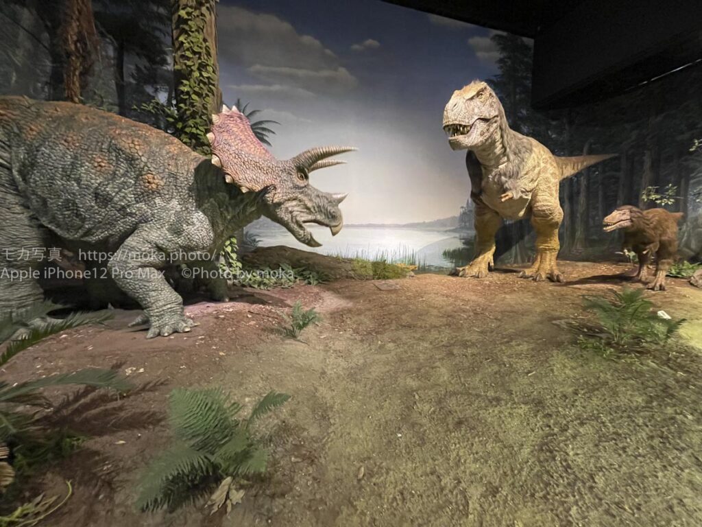 【スナップ写真】太古のロマンを写真に撮ろう