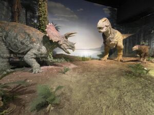 【スナップ写真】太古のロマンを写真に撮ろう