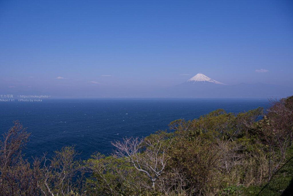 水平線の向こう側に、富士山が浮いている！！