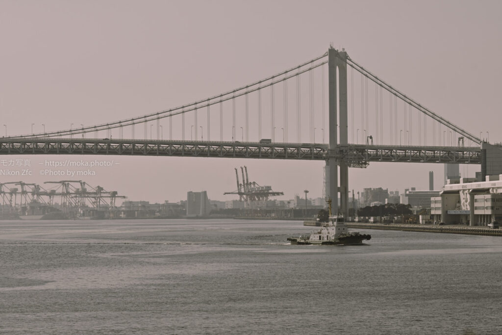 【スナップ撮影】春の河口で海のキラキラ撮ろう！