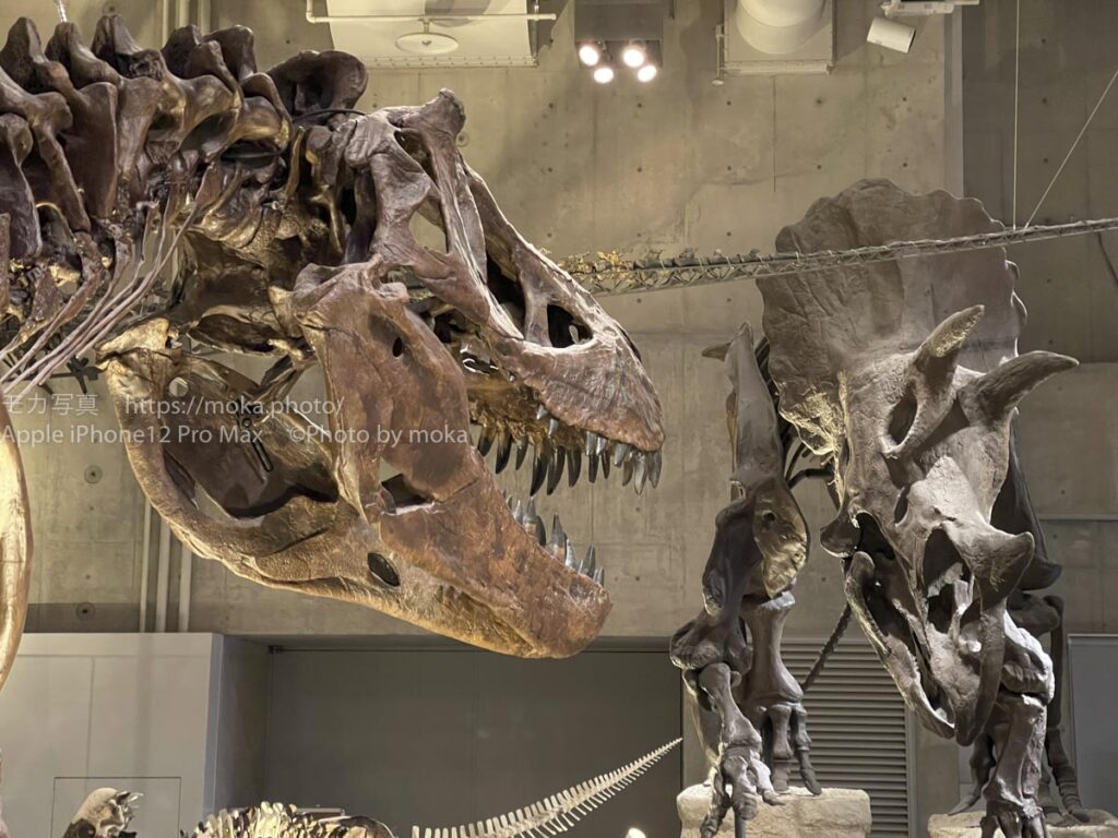 【iPhone写真】iPhoneを使って恐竜の世界を撮ってみた！！