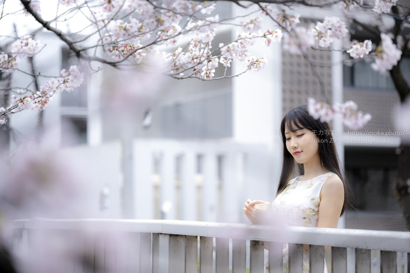 【個撮】桜ポートレート撮影　モデル：葉月ゆうかさん