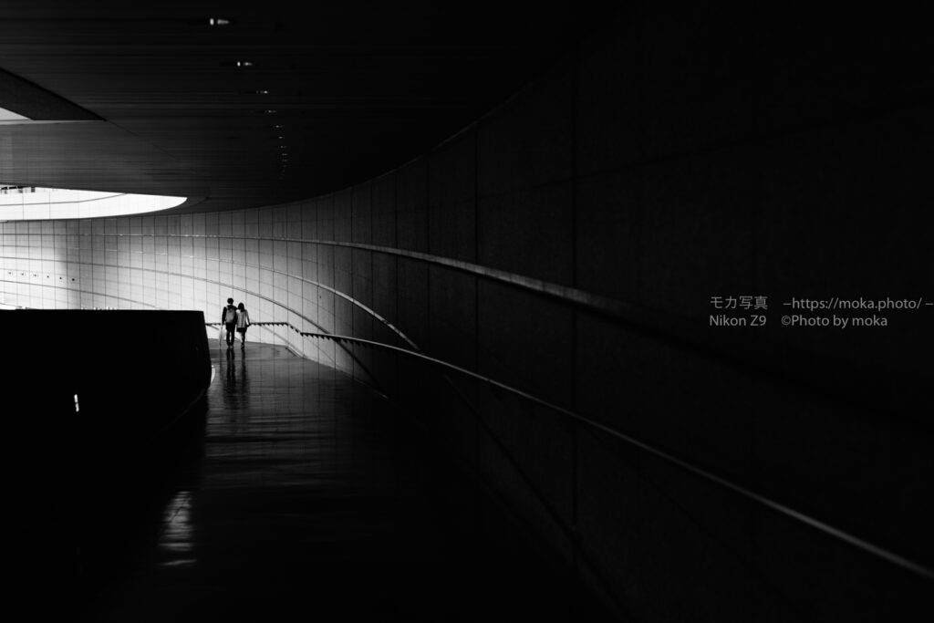 半年ごとの写真の勉強