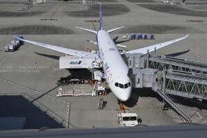【スナップ撮影】今年の夏、熱い夏にしよう！！