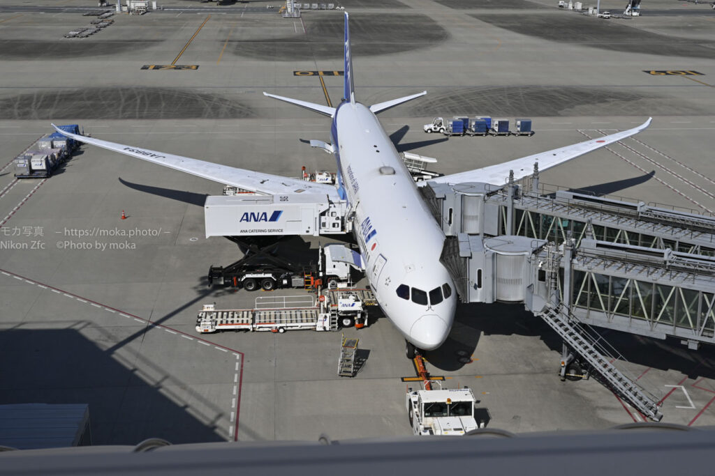 【スナップ撮影】飛行機に乗って遠くへ行こう！