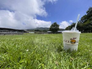 【ロケハン】夏休み中の宿題 -リゾートを感じられる撮影！？-