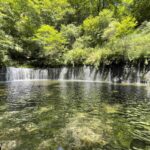 【スナップ写真】「白糸の滝」で、マイナスイオンを浴びまくる