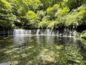 【スナップ写真】「白糸の滝」で、マイナスイオンを浴びまくる