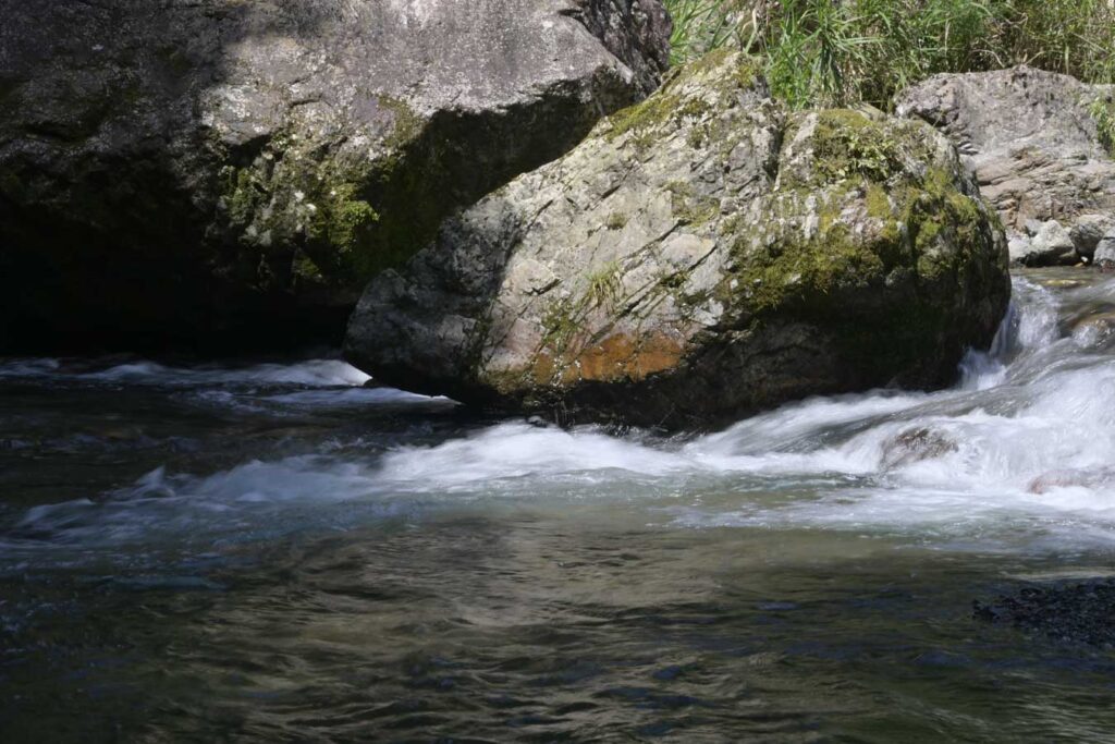 【ロケハン】川で写真を撮ろう！！