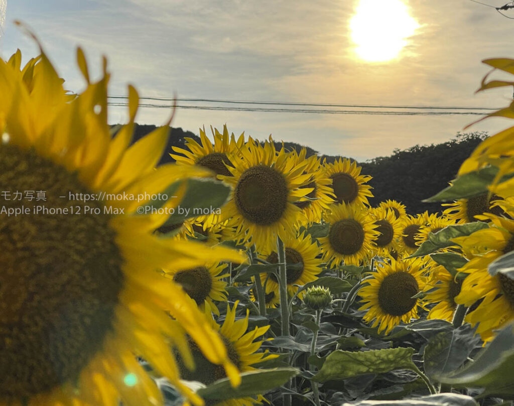【スナップ撮影】夏休みの思い出を一つ一つ作ろう！！