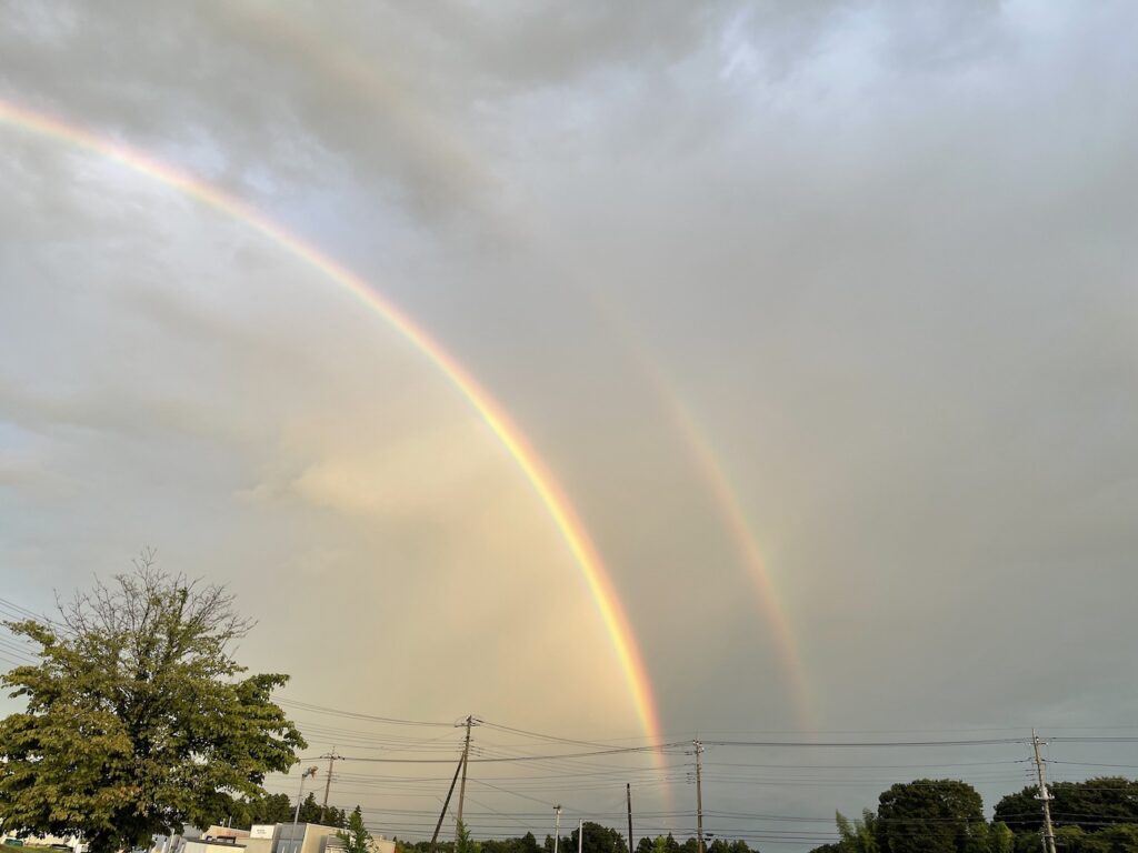 【スナップ撮影】雨の後のご褒美！？