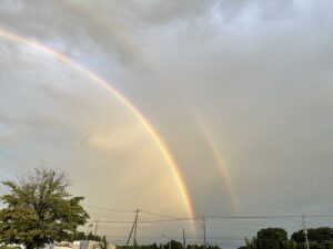 【スナップ撮影】雨の後のご褒美!?