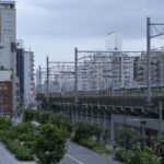 【スナップ撮影】ただのお散歩スナップ写真