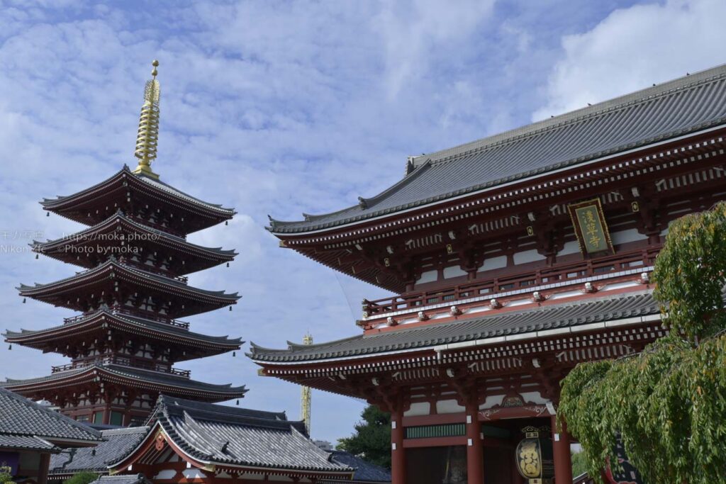 【スナップ撮影】秋の浅草散歩