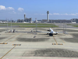 【スナップ撮影】ジェット機がご対面！？秋の空気が気持ち良い