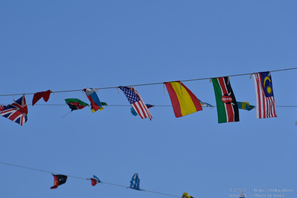 【スナップ撮影】年に１回のスポーツの秋！！