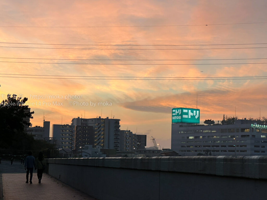 【iPhone写真】新しくなったiPhoneのカメラを楽しもう！