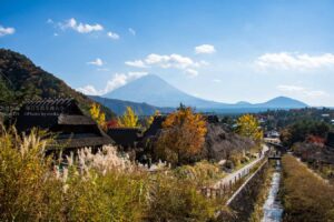 【スナップ撮影】遠出で紅葉を楽しむのは、今年最後かな!?