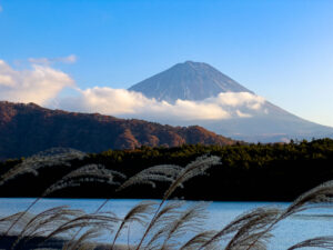 【iPhone写真】iPhone14 Proの写真が凄い!?