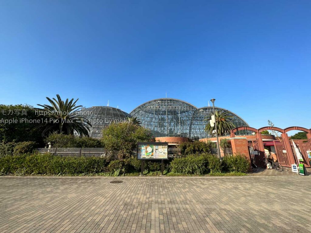 【ロケハン】秋晴れの下、ロケーション探し！！