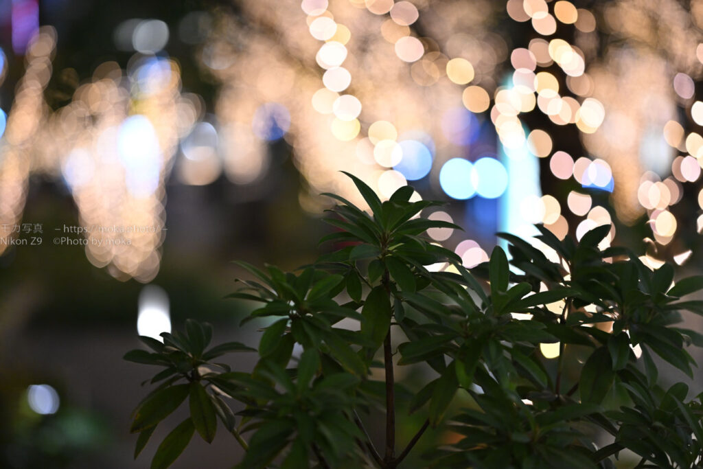 【スナップ撮影】イルミネーションを求めて街中散歩