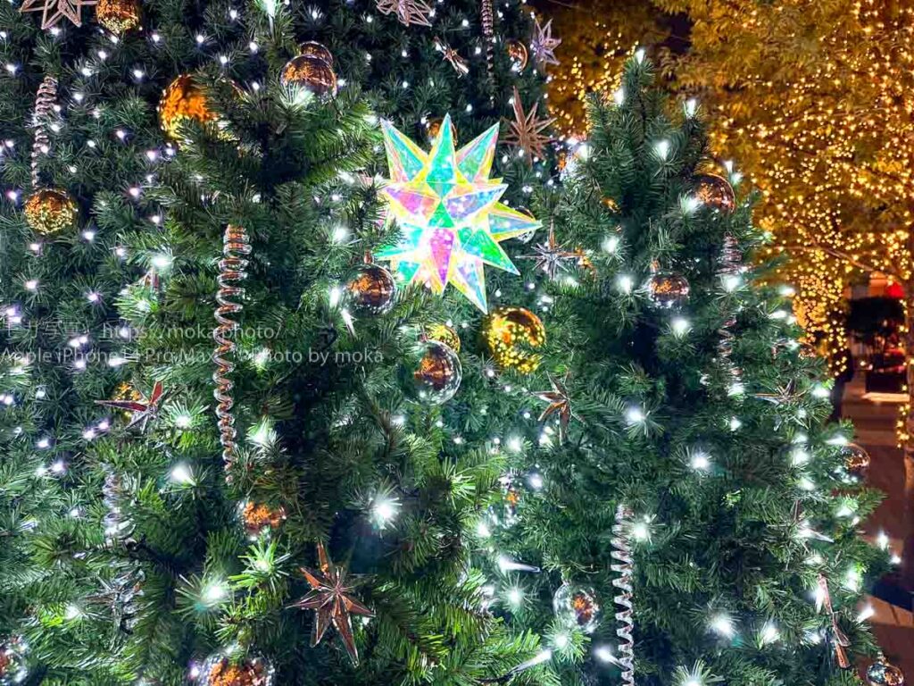 【iPhone写真】iPhone14 Proでイルミネーションを撮ろう！