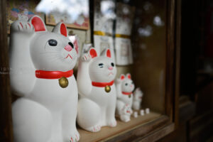 【スナップ撮影】福よ・・・来い!!