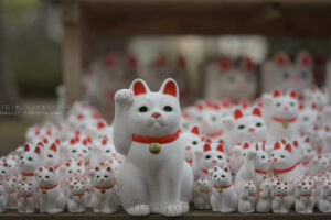 【スナップ撮影】福よ来い！！