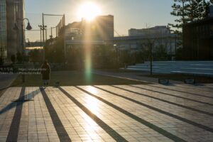 【スナップ撮影】夕日を浴びて・・スナップ撮影