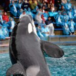 【水族館写真】鴨川シーワールドに行きたい・・
