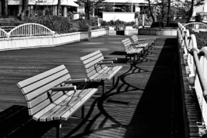 【スナップ撮影】日差しを浴びて、竹芝をお散歩