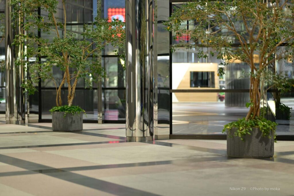 NIKKOR 85mm F1.2 Sのレンズを試し撮り